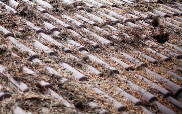 Winchet Hill roof cleaning companies